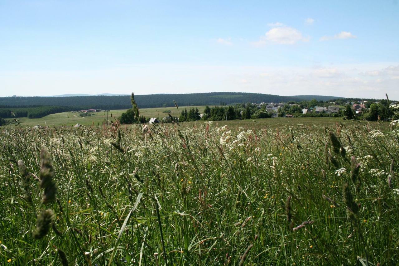 Landhaus Edelweiss Bed&Breakfast - Adults Only Neustadt am Rennsteig Bagian luar foto