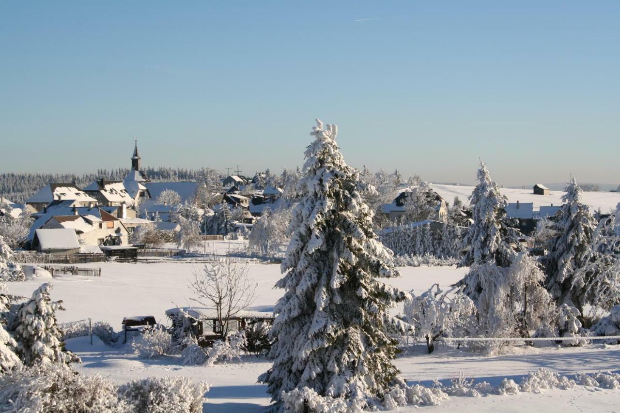 Landhaus Edelweiss Bed&Breakfast - Adults Only Neustadt am Rennsteig Bagian luar foto